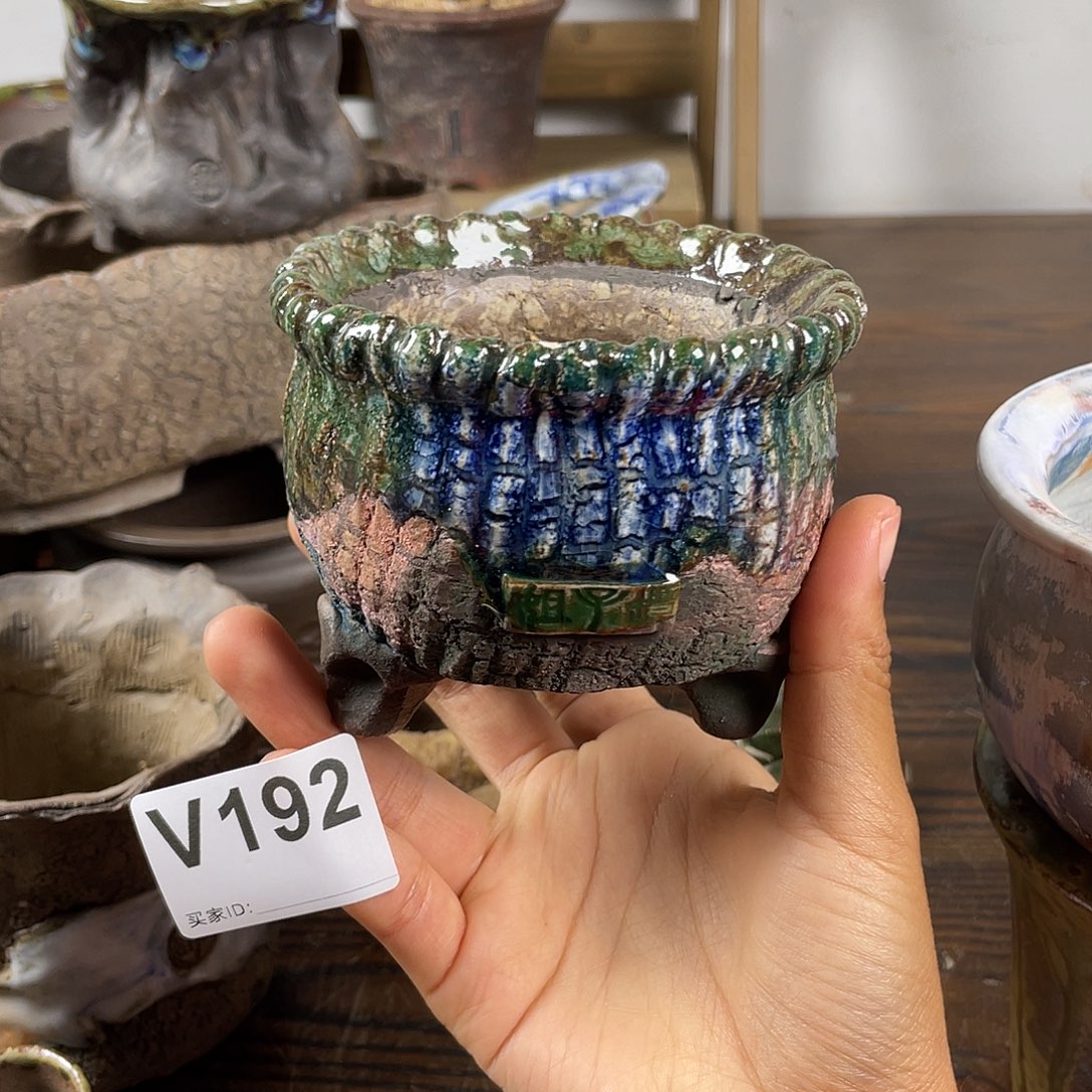 默认微次 限时福利 坛子姐花盆