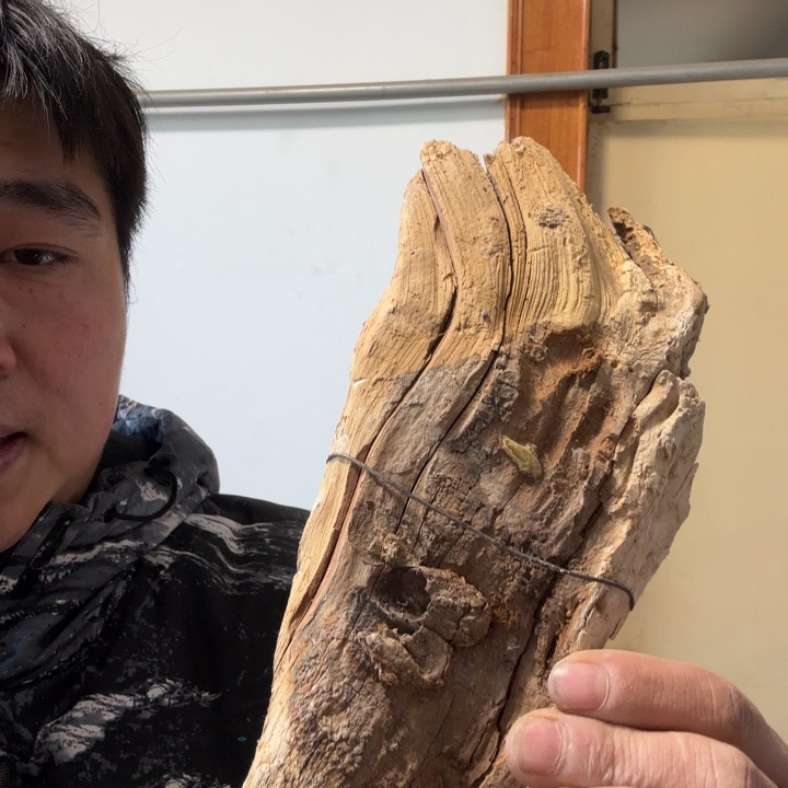 亮****木太行崖柏太行崖柏