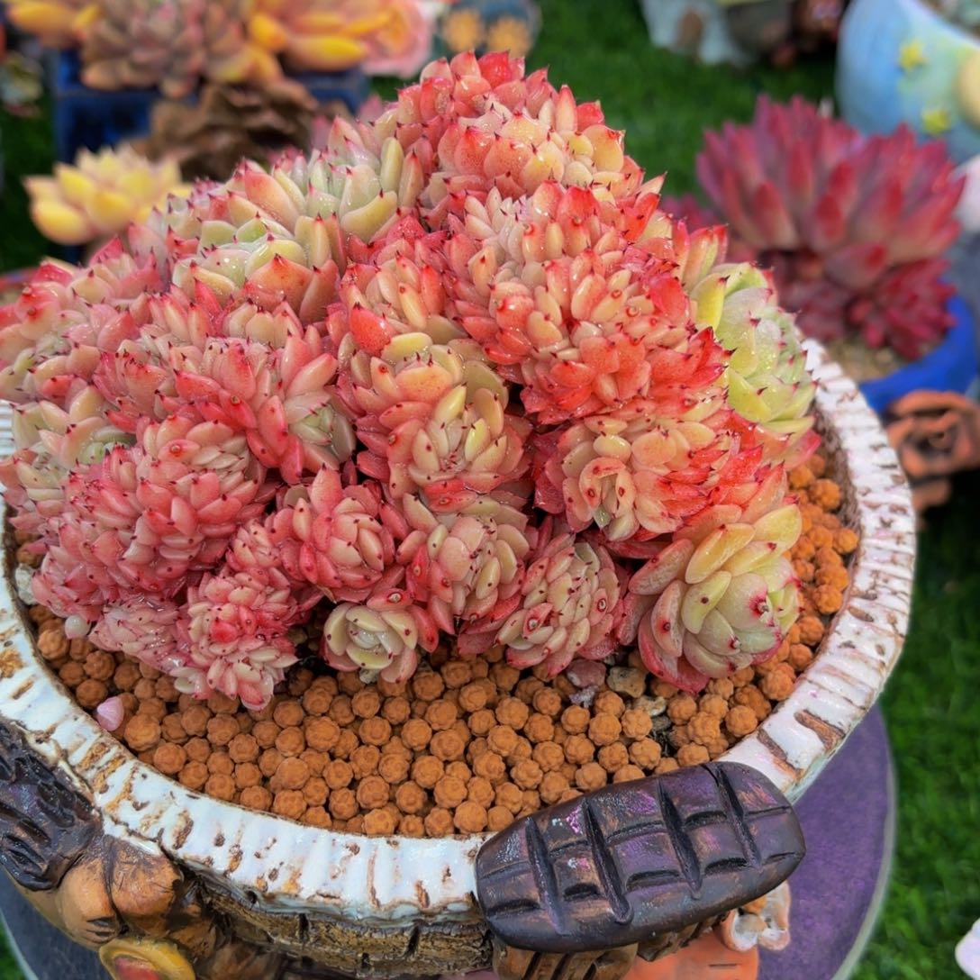 Hvkkjjbvkvhjhvkijnjjnnn