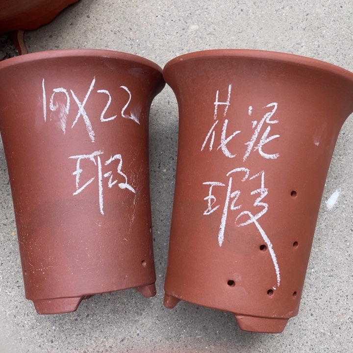 周深周深周深周深周深  