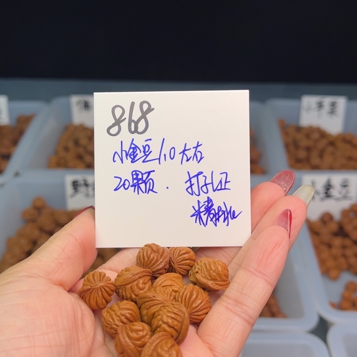 桃核把件G***?小金豆10尺寸