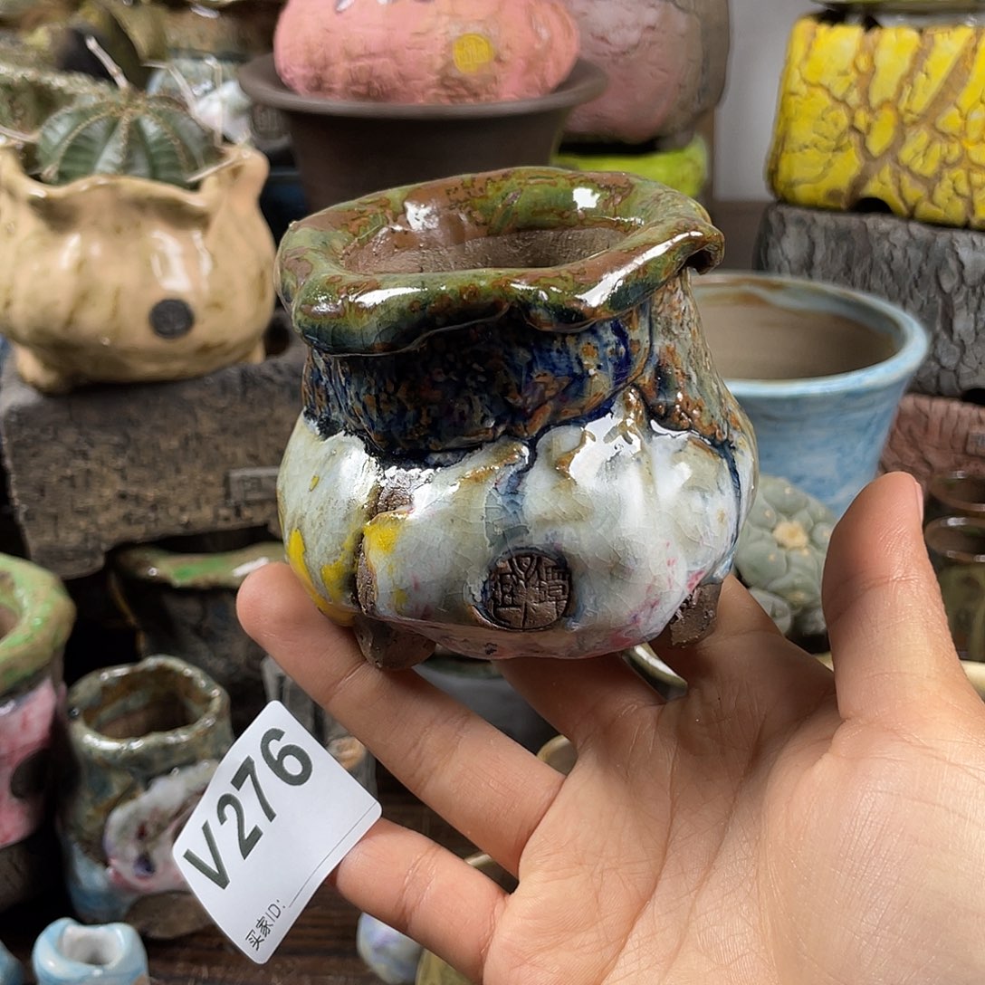 默认微次  限时福利 坛子姐花盆