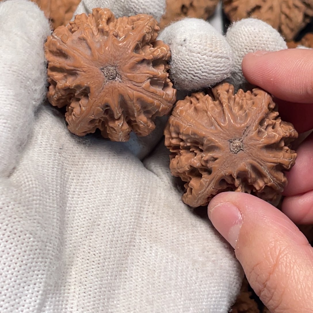 有***了把件桃核1秦岭灯笼野生小众