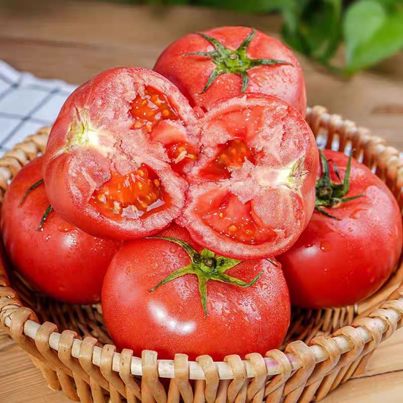 【露天种植】高山种植水果西红柿自然熟沙瓤番茄新鲜蔬菜