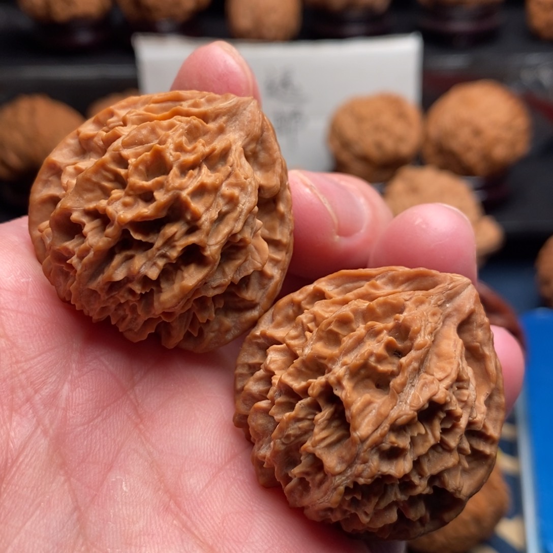 文玩核桃把件37刺玫