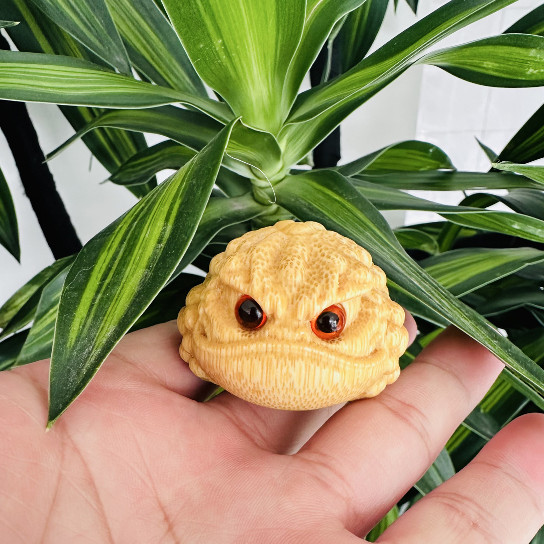 龙血金丝竹@金蟾扁款鸿运恶霸