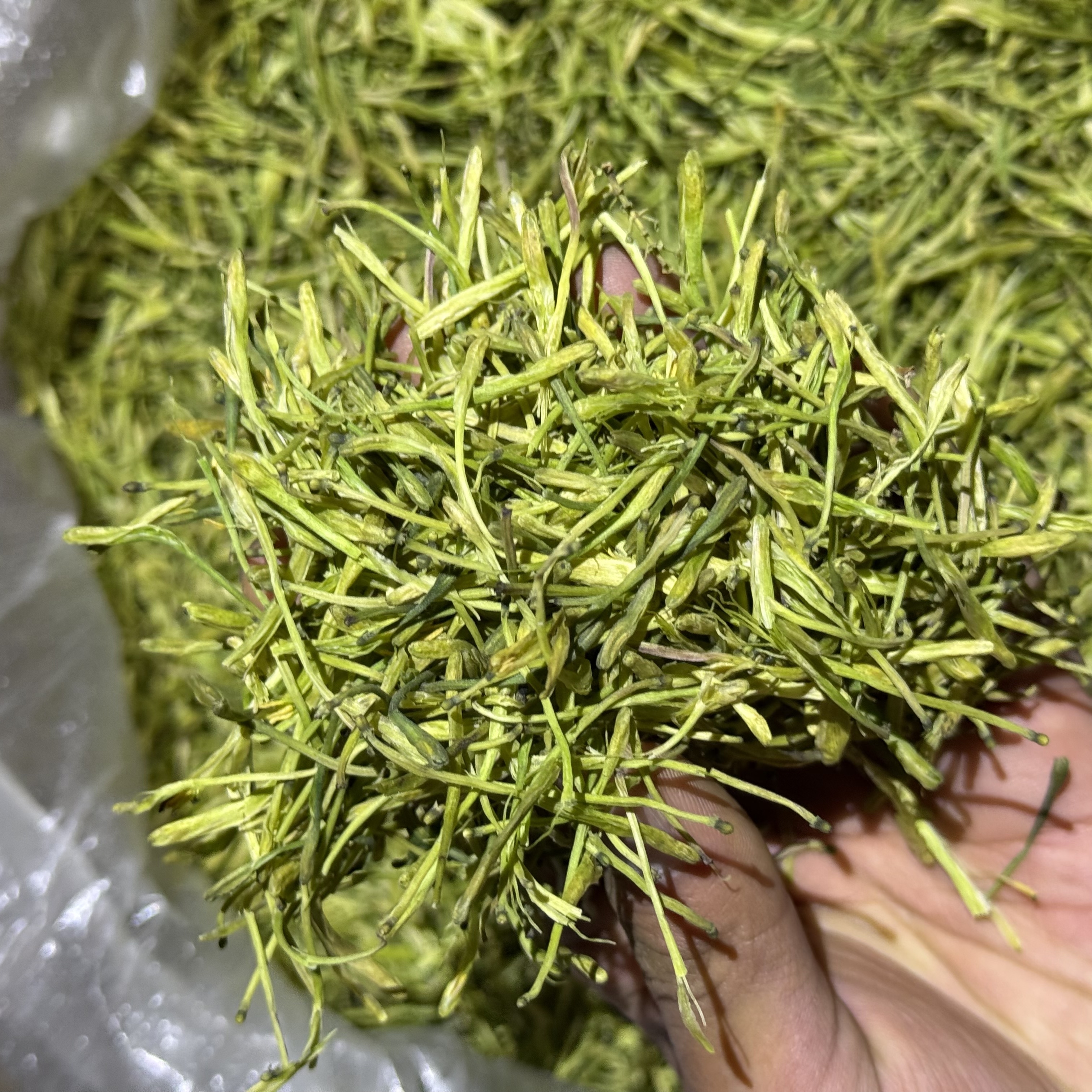 【滇南农品】金银花
