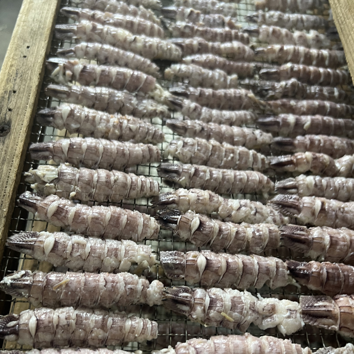 熟冻新鲜虾虎肉 新鲜皮皮虾