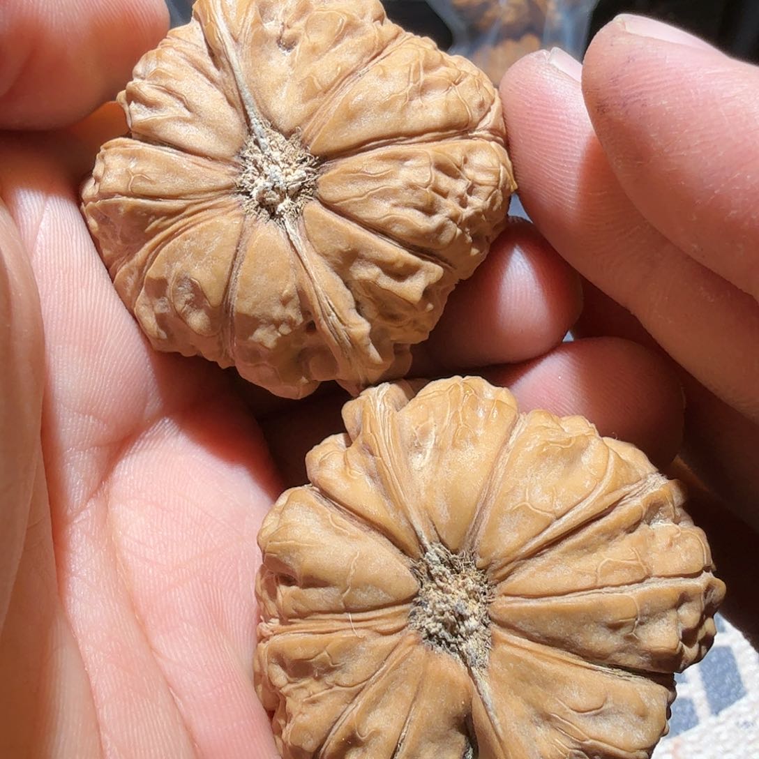 文玩核桃把件南瓜