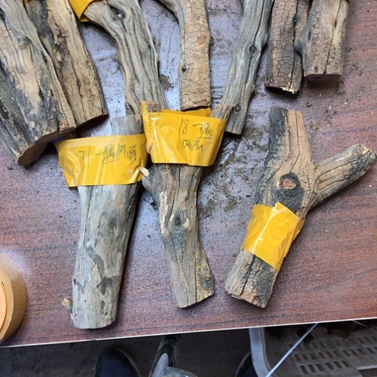 大果紫檀（缅甸花梨）一****龙