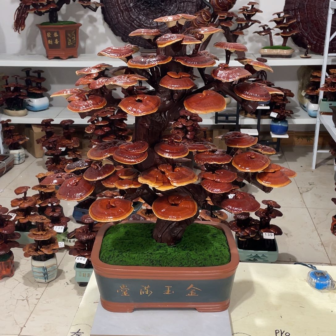 全部花朵88888888888888