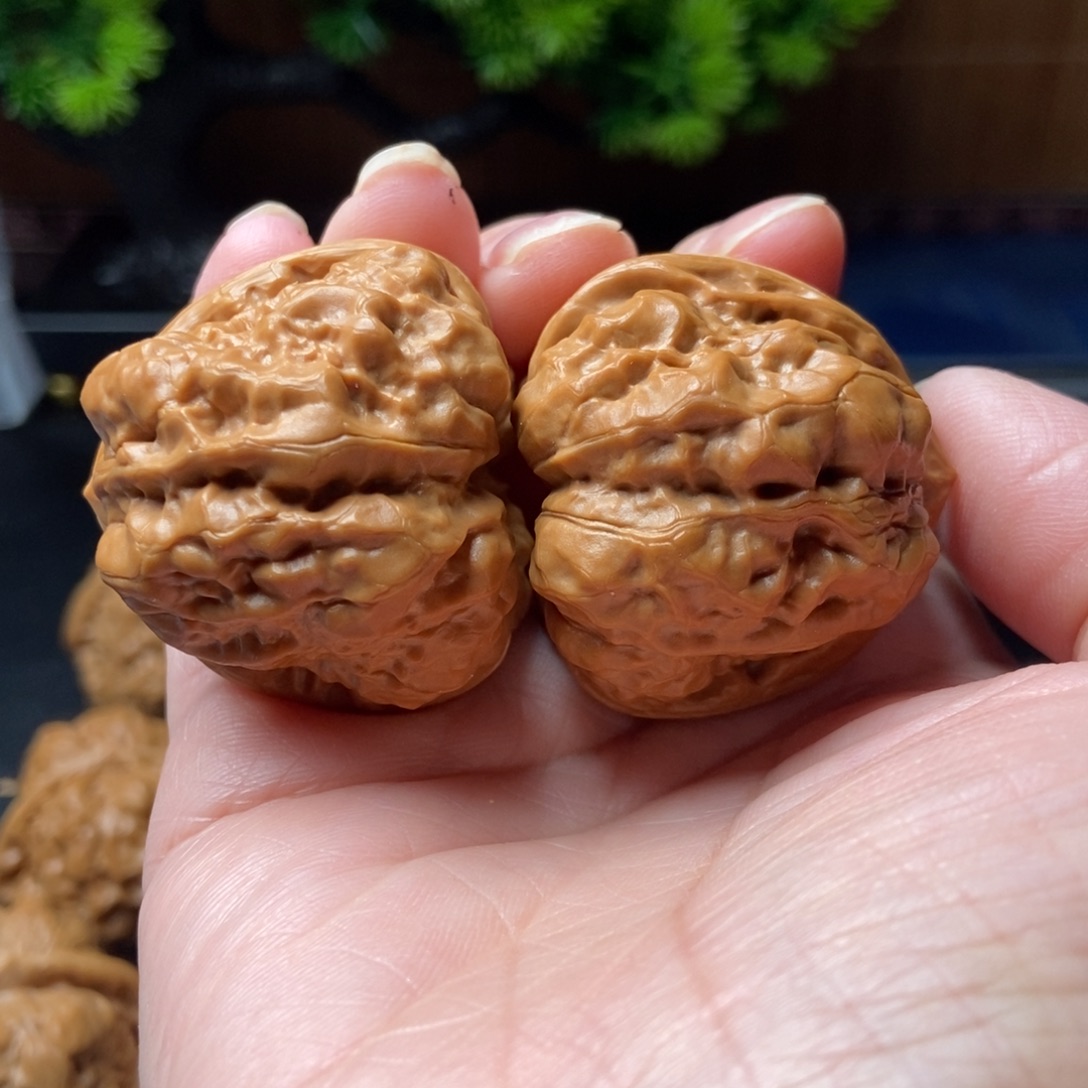 文玩核桃把件蛤蟆头38