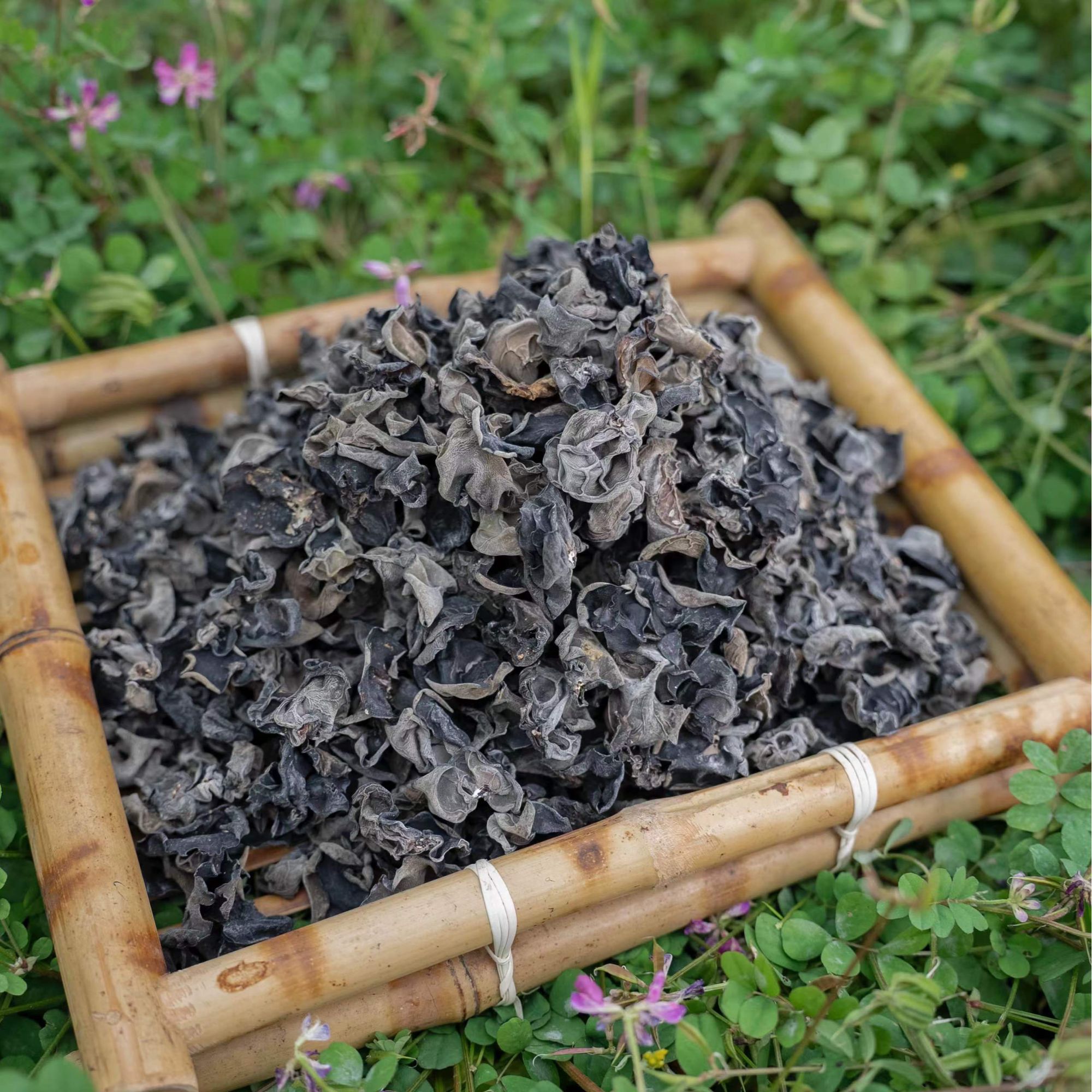 【小建专属】高山 农家 黑木耳