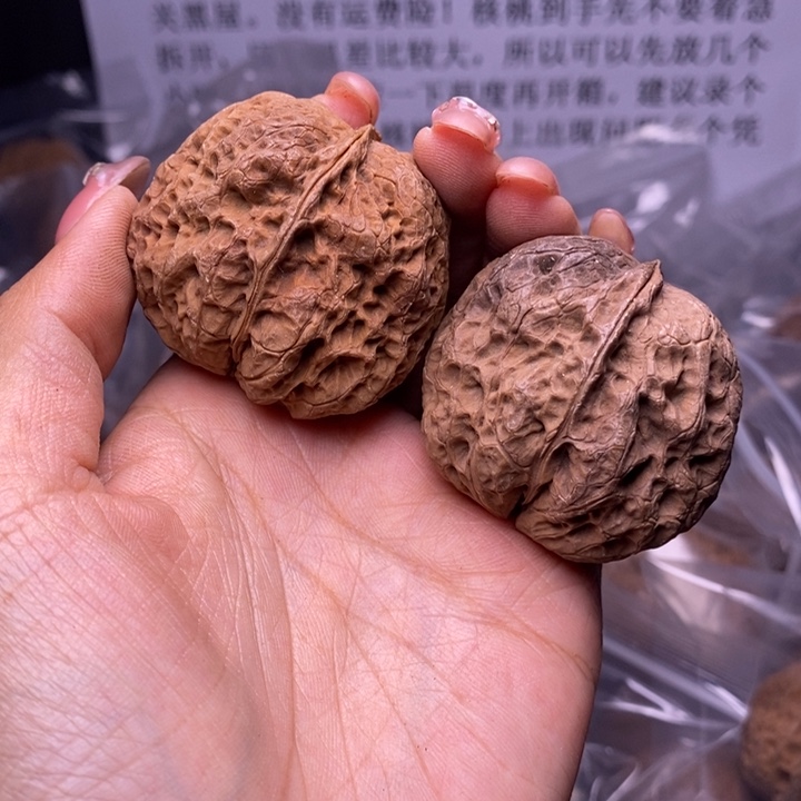 核桃云南野生铁核桃77号44