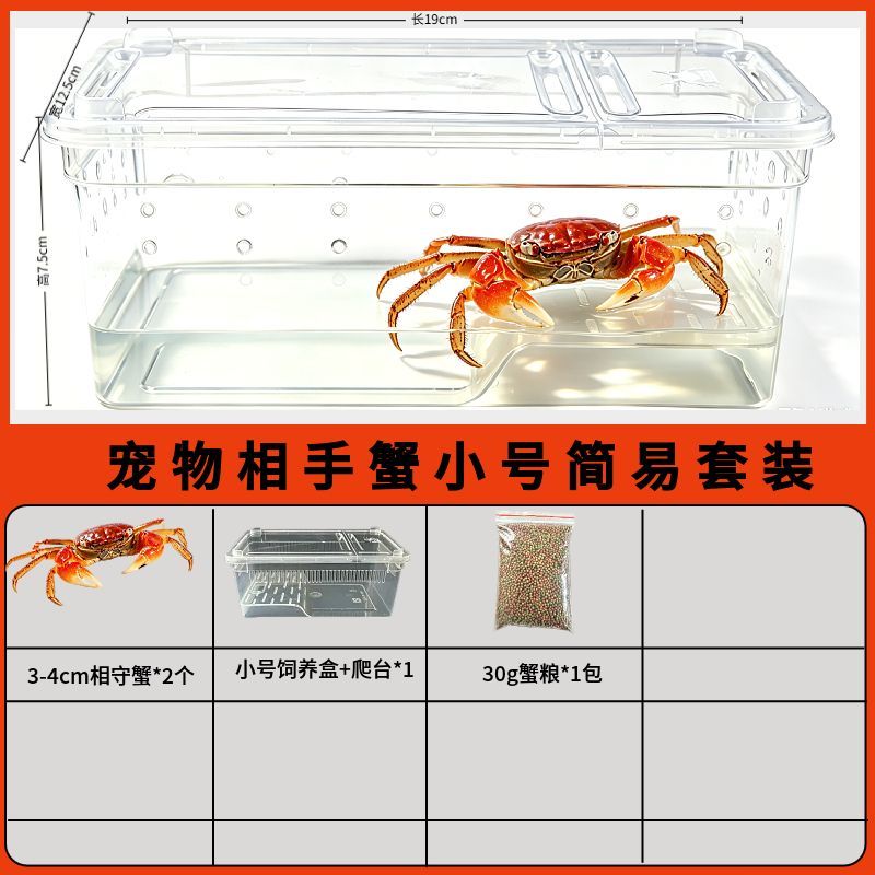 螃蟹宠物饲养套装观赏蟹饲养箱淡水活物相守蟹将军蟹迷你辣椒蟹蟹