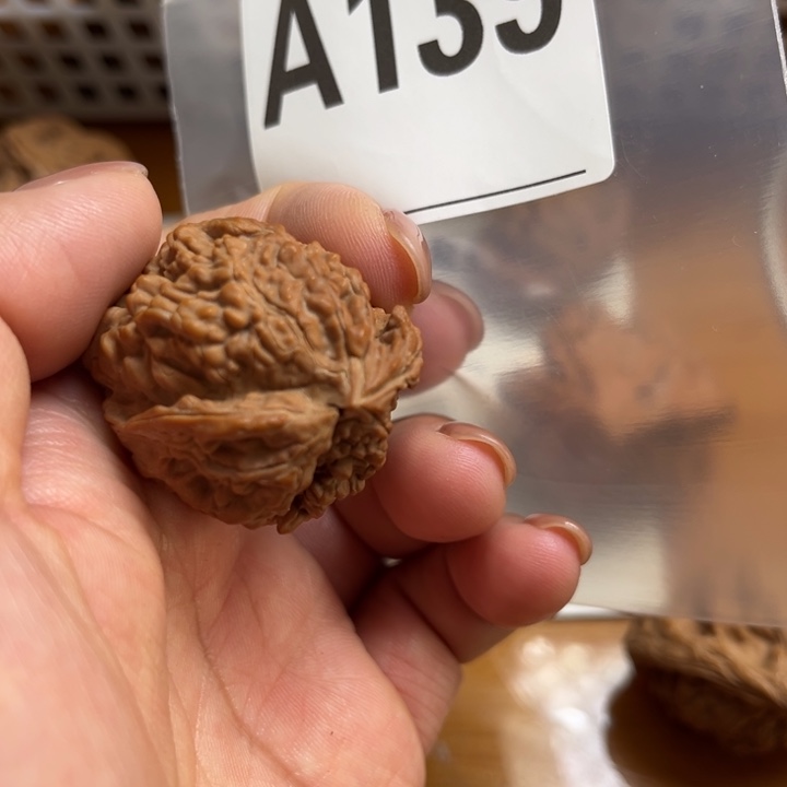 舍***末文玩核桃吊坠满天星