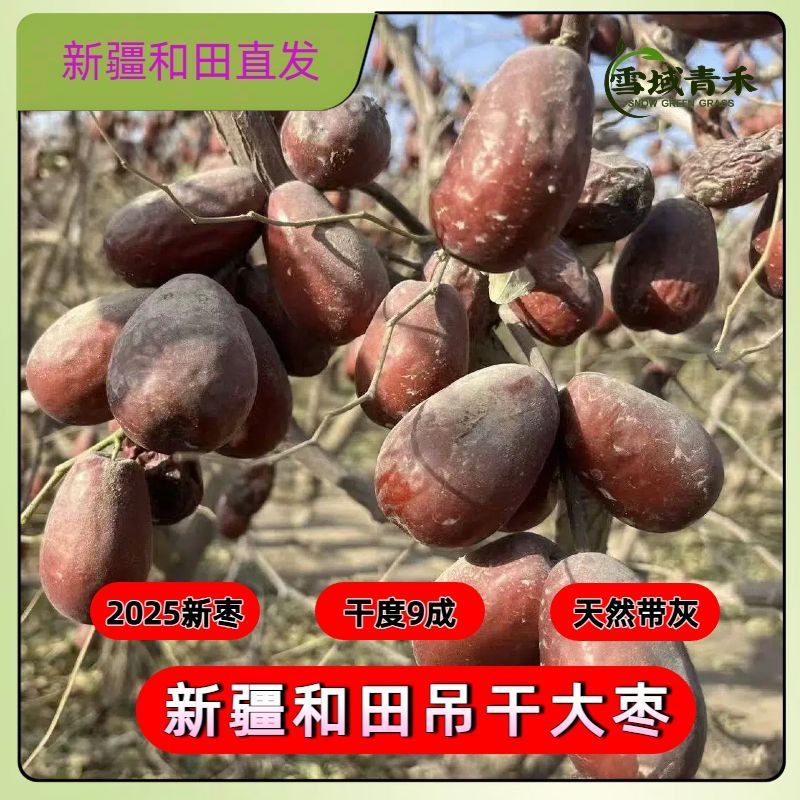 正宗吊干和田大枣（枣农自家种植）新疆直发包邮