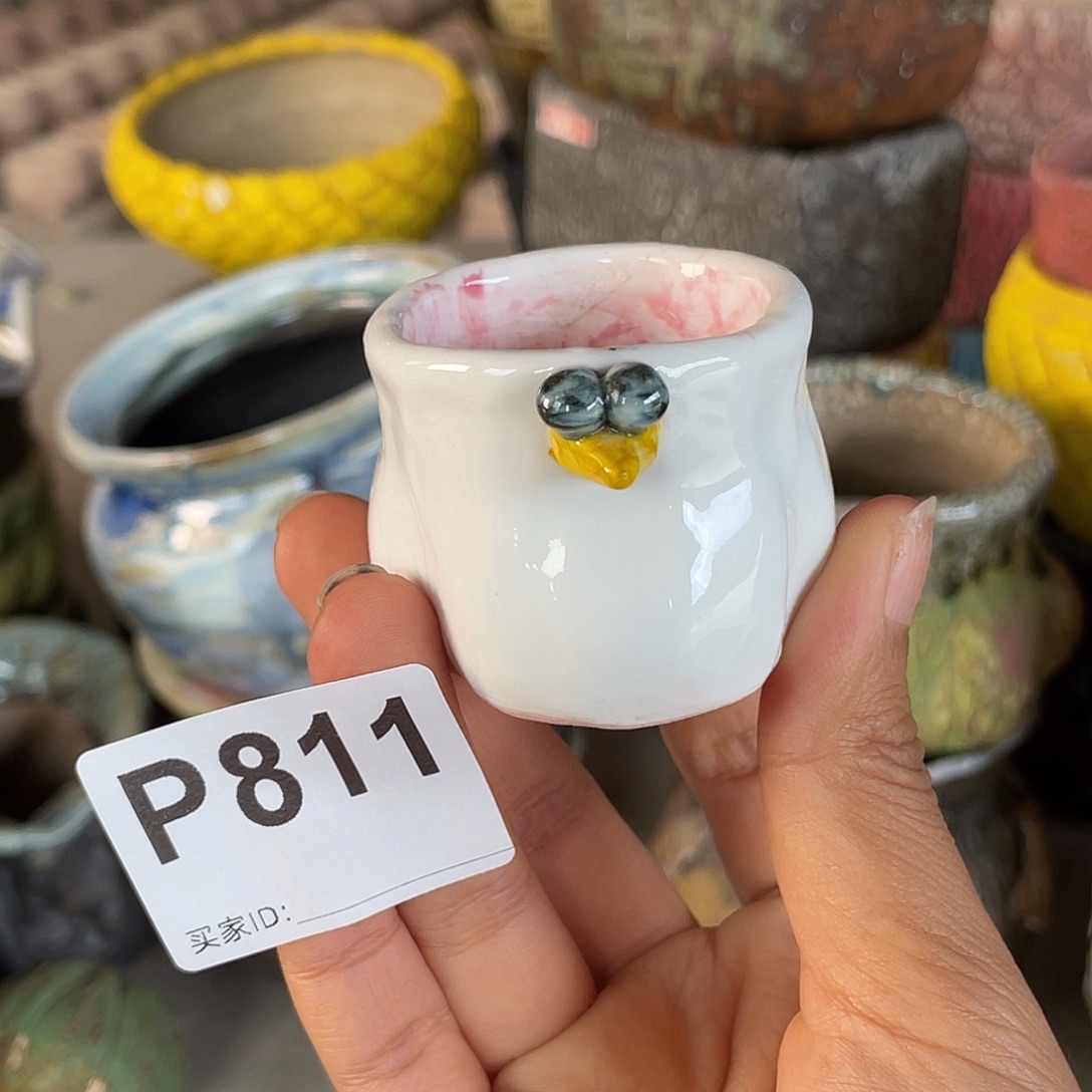 双十一限时活动  默认微次 