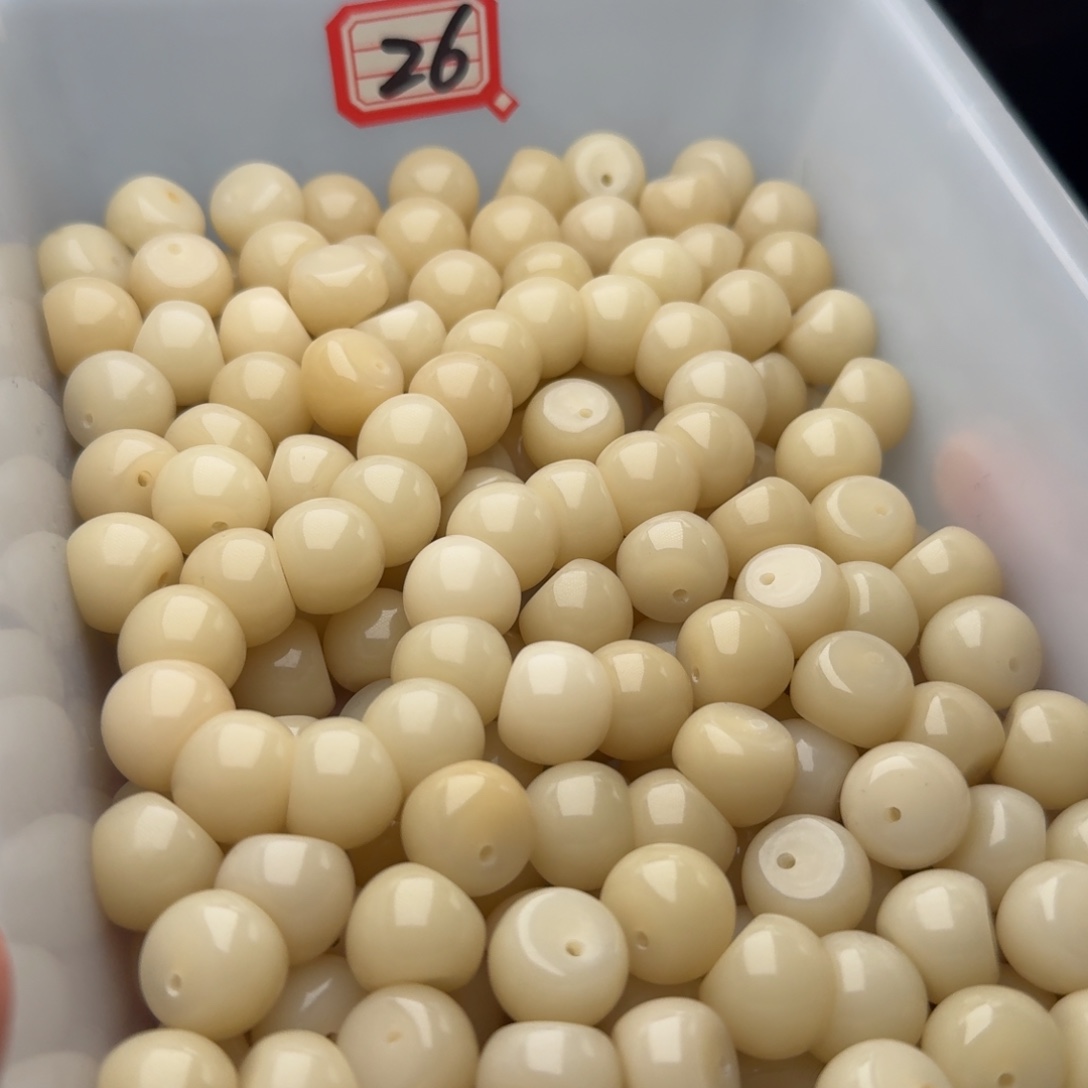 菩提根/象牙果吊坠50 颗菲料奶咖干磨蒜瓣 14  厚切