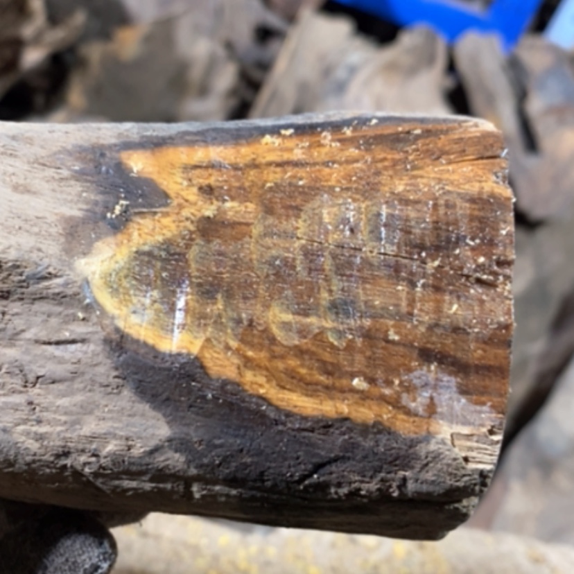 【闪购商品】贡木其他Q****Q私人定制