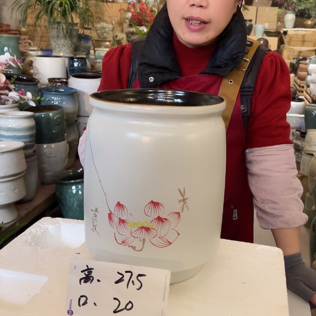 红陶高度27口径20