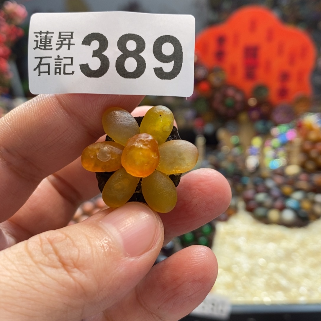 核桃木/黑胡桃（胡桃木）滢389