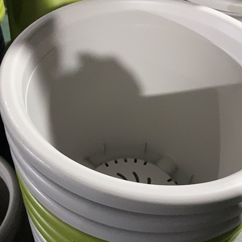 树脂四季8号灰白无托3个