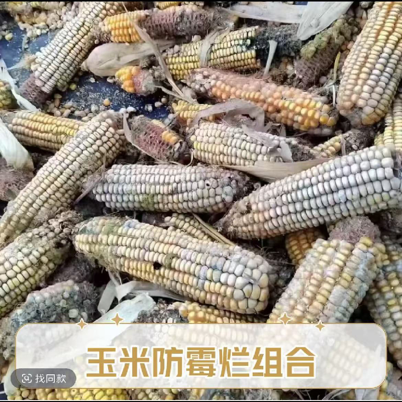 【玉米花生大豆专用】防霉变防腐烂叶面肥有效解决方案