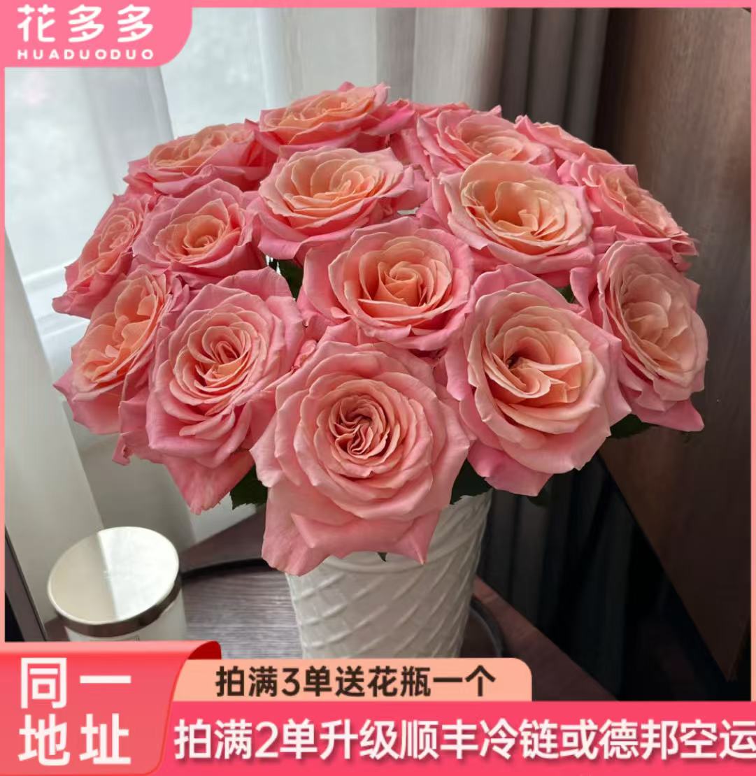 【朱小姐】单头玫瑰10支 同一地址拍满2单升级顺丰冷链