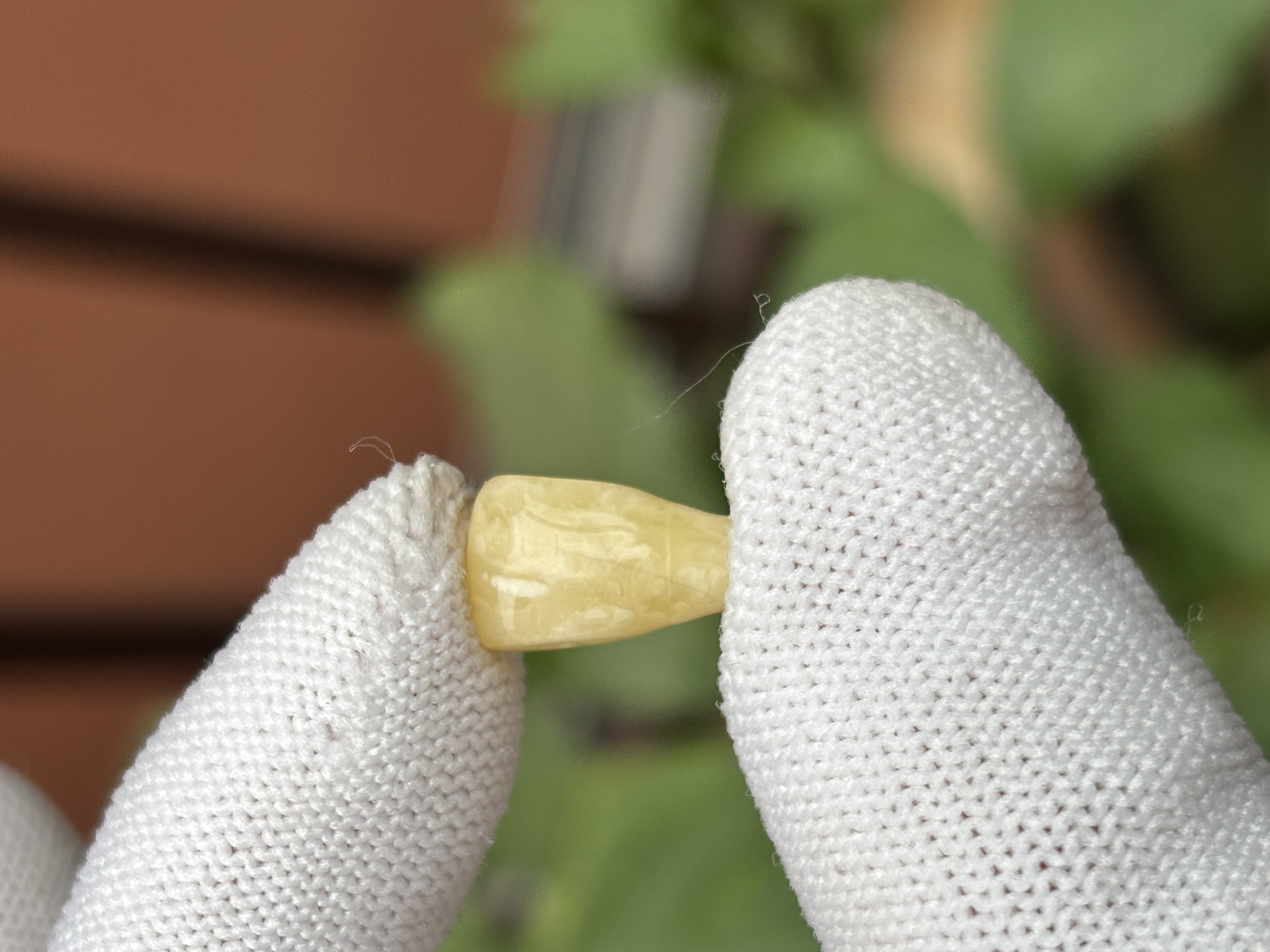 5628天然蜜蜡琥珀三通配饰8.4x14.1x6.5mm