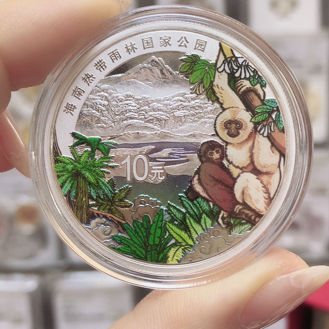 纯银国家公园 海南热带雨林