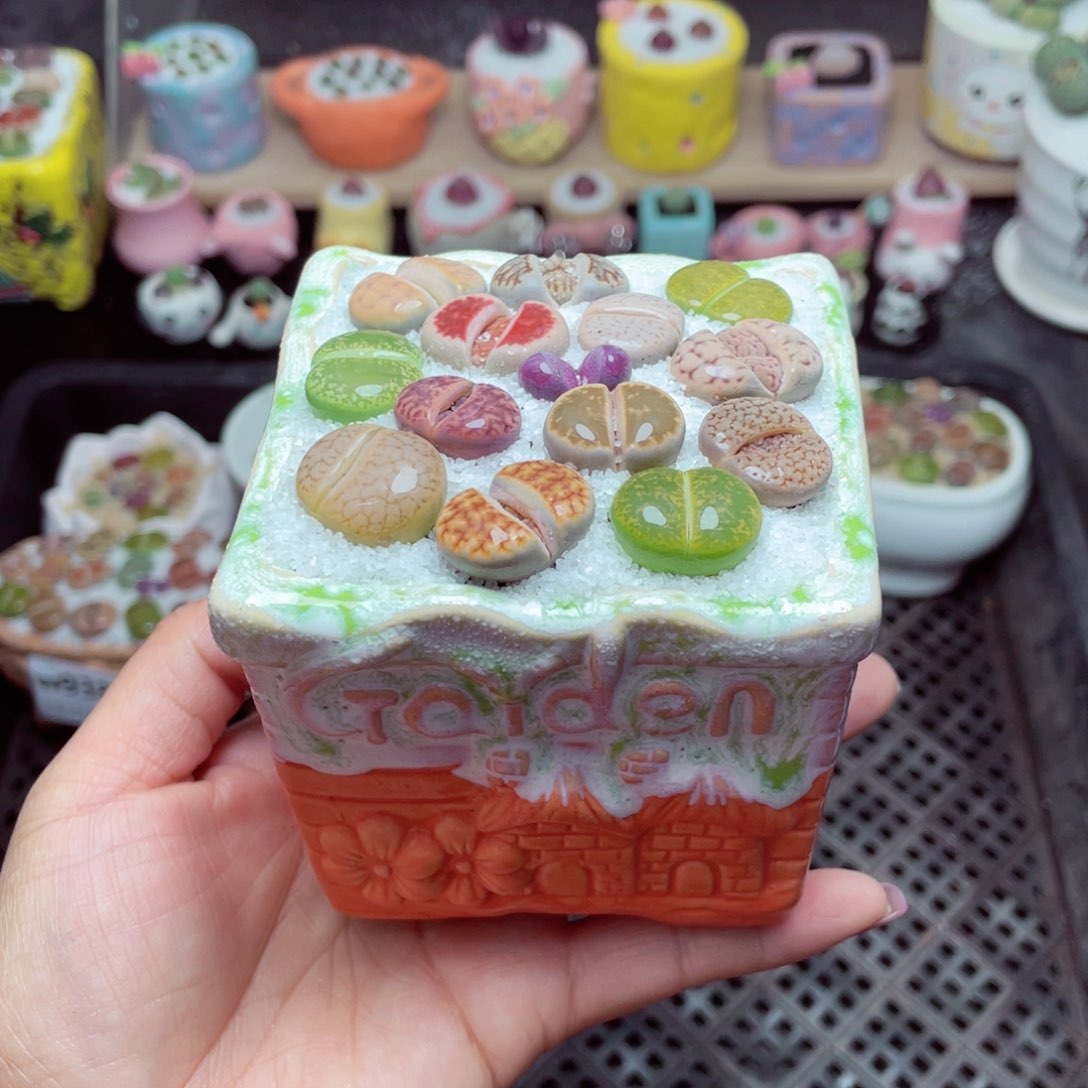 w9387 带盆土发货-零下地区拍保温箱