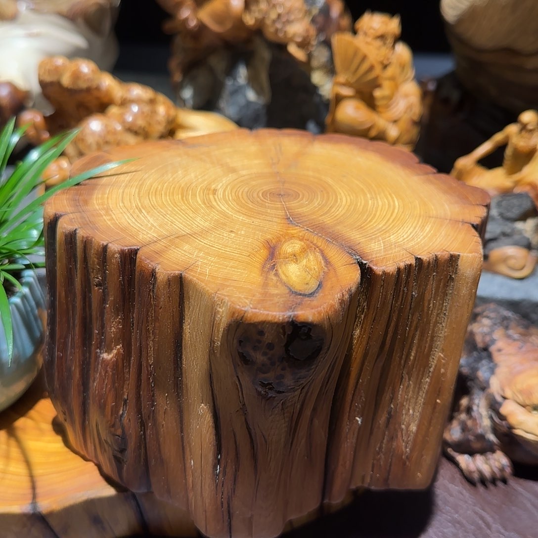 柏木（崖柏）太行集团董事