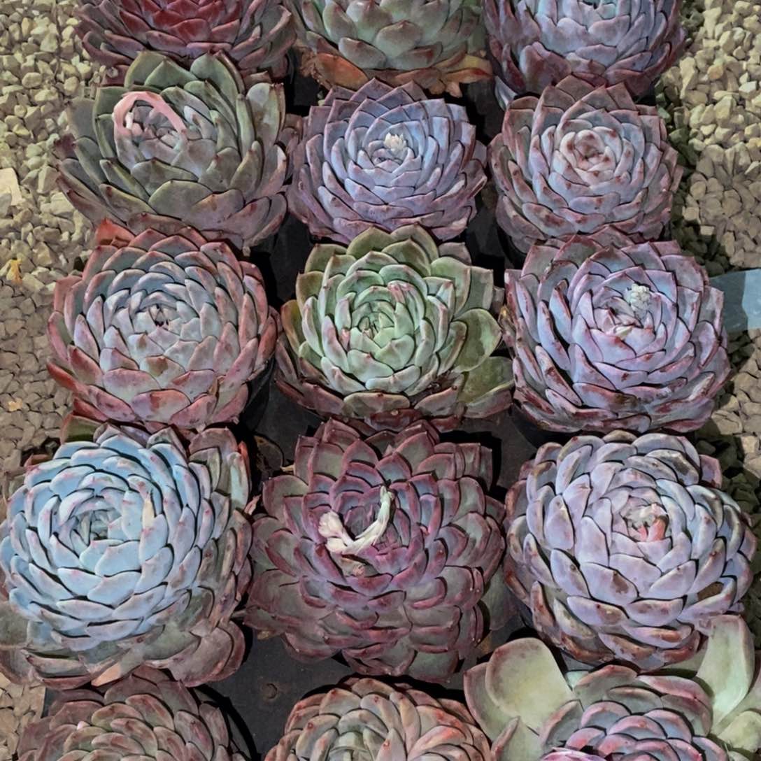 647的人生态度就是这样