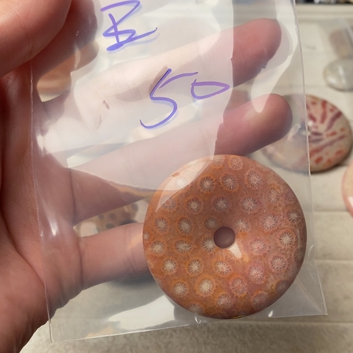 硅化玉颈饰未镶嵌