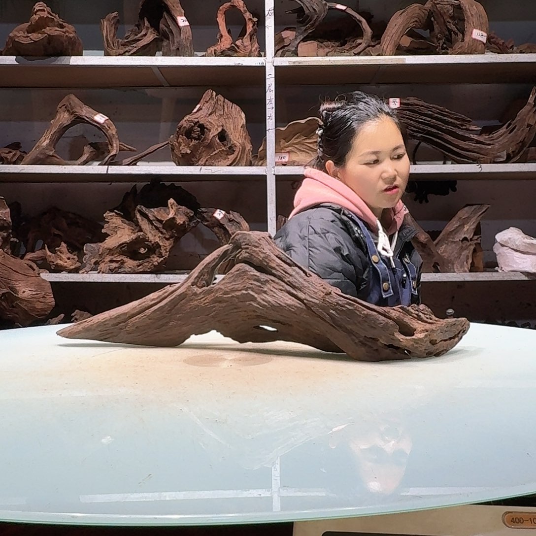 倍诸沉木不包损必褪色丁**龙7082