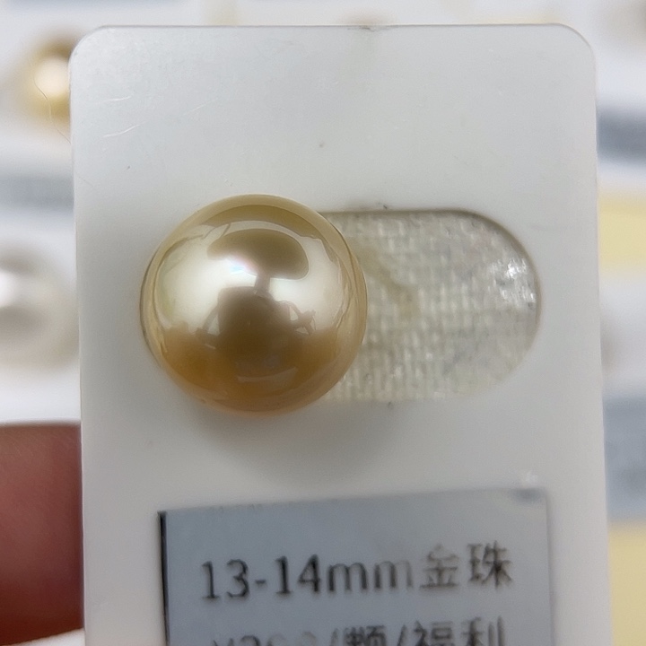 颈饰海水珍珠未镶嵌13.7mm 金珠 福利 背镶