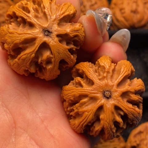 文玩核桃吊坠秦岭山脉核桃