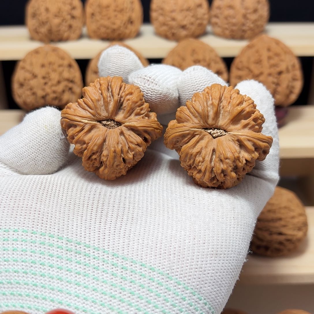 文玩核桃把件乌**发涿鹿南将微瑕疵