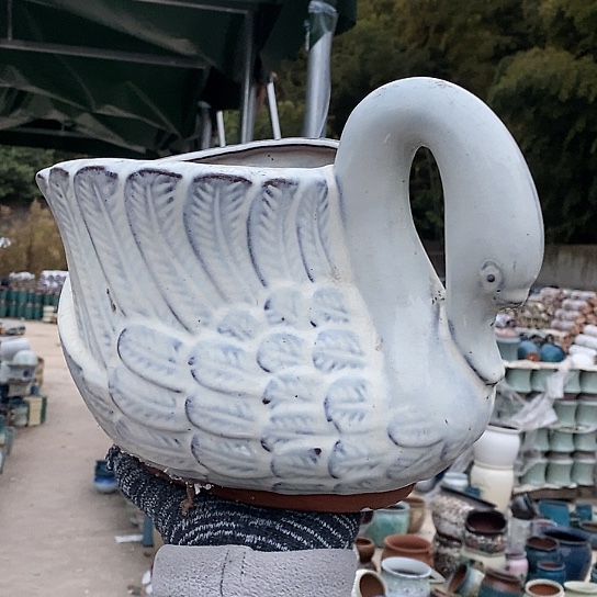 正品品质抓紧入手