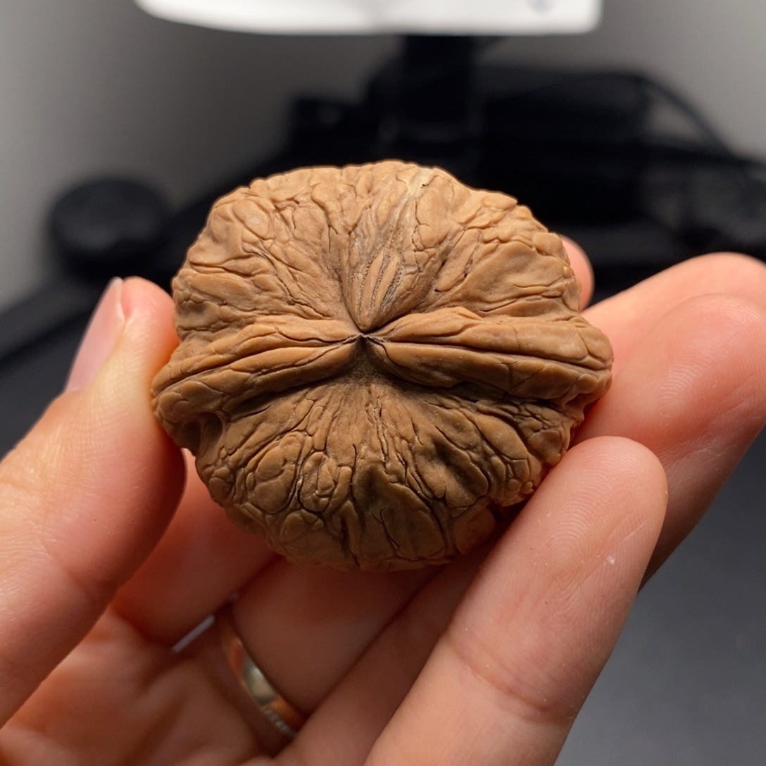 清***月核桃定制商品不退不换