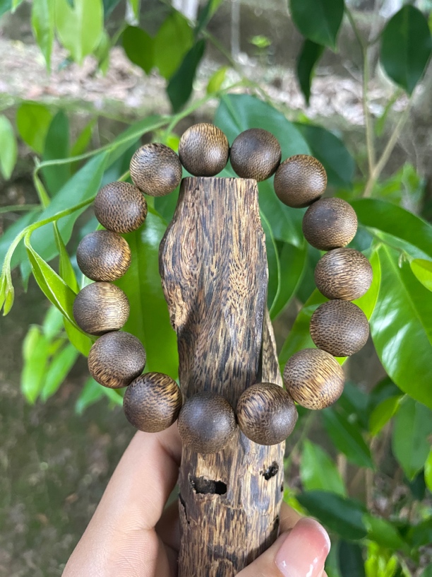 沉香白奇14圆珠多样性发一