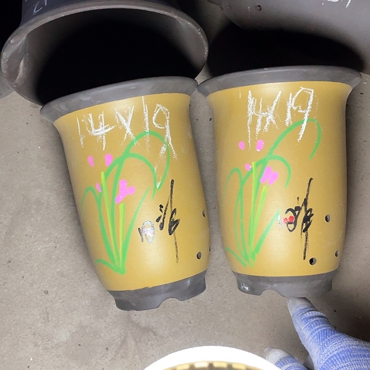 红陶紫砂紫砂紫砂