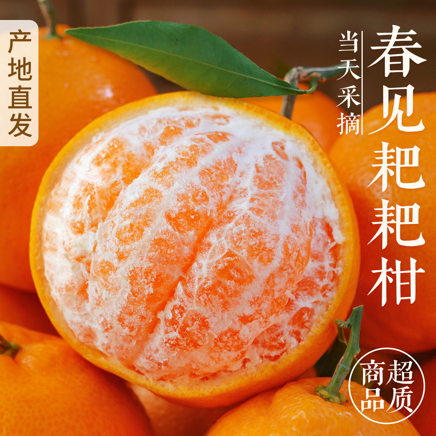 春见耙耙柑斤5时令新鲜水果当季整箱正宗丑柑非四川橘子桔子粑柑