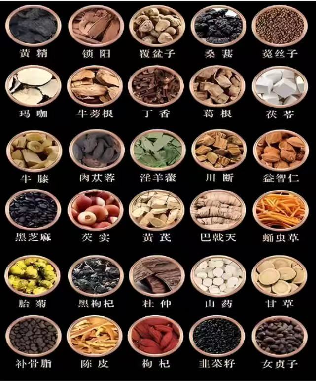 03【凤···凰···金···丹】 非·····种子茶