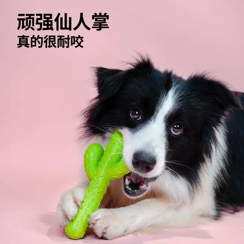 【静音耐咬】梅花脚狗狗玩具磨牙棒仙人掌大型犬宠物自嗨解闷神器