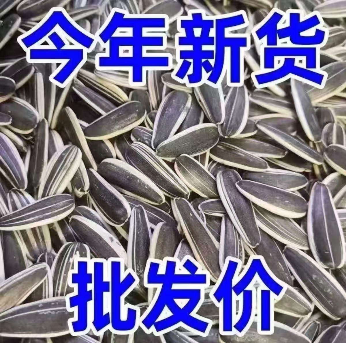 新货原味炒熟葵花籽瓜子休闲零食必备