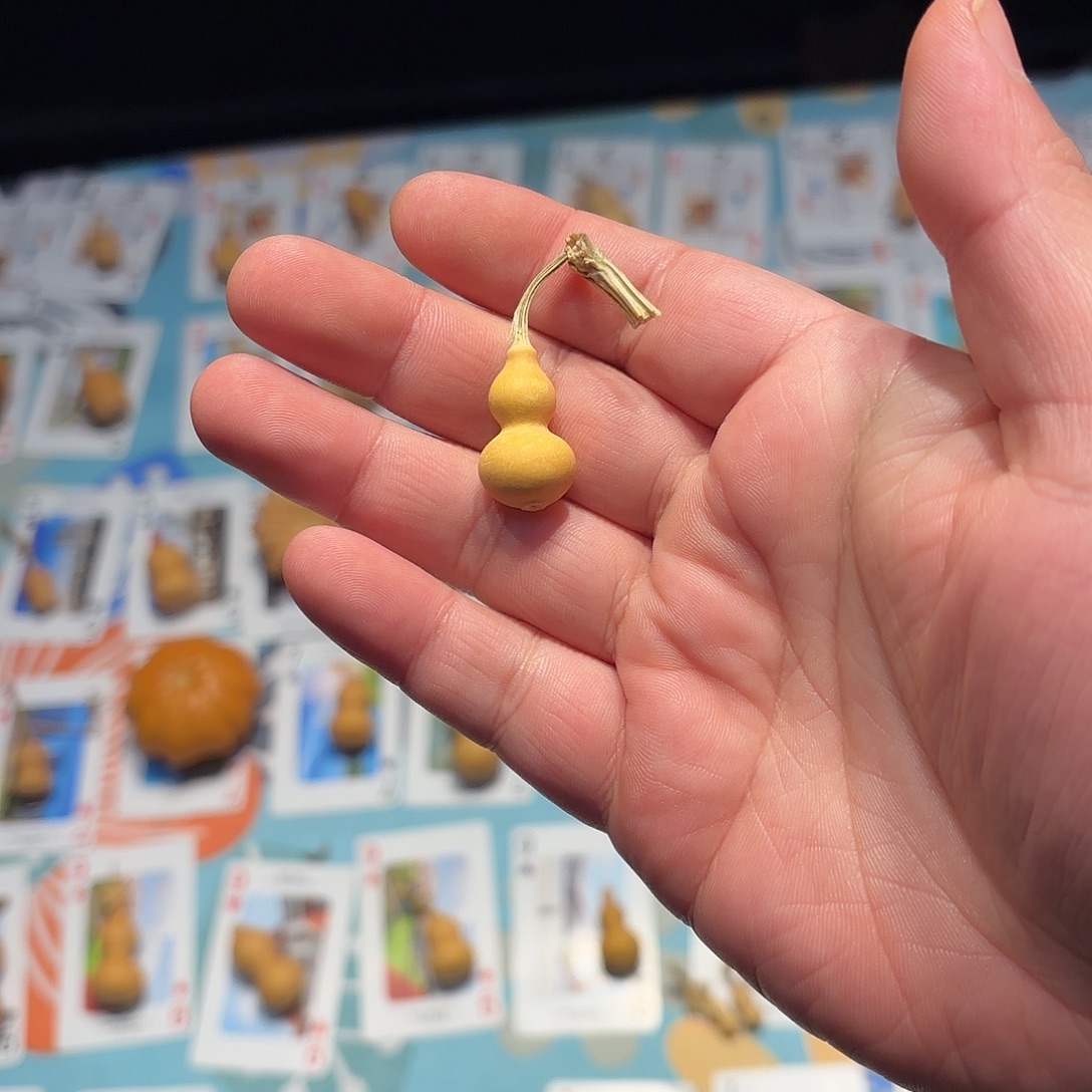 盛***夏哈哈哈哈哈哈哈哈哈哈哈