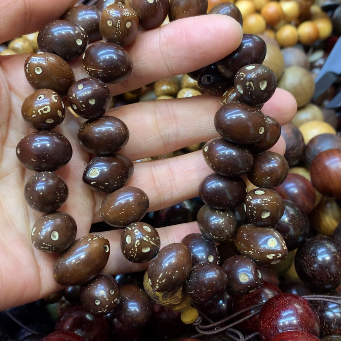 【闪购商品】木9福利福利福利福利福利