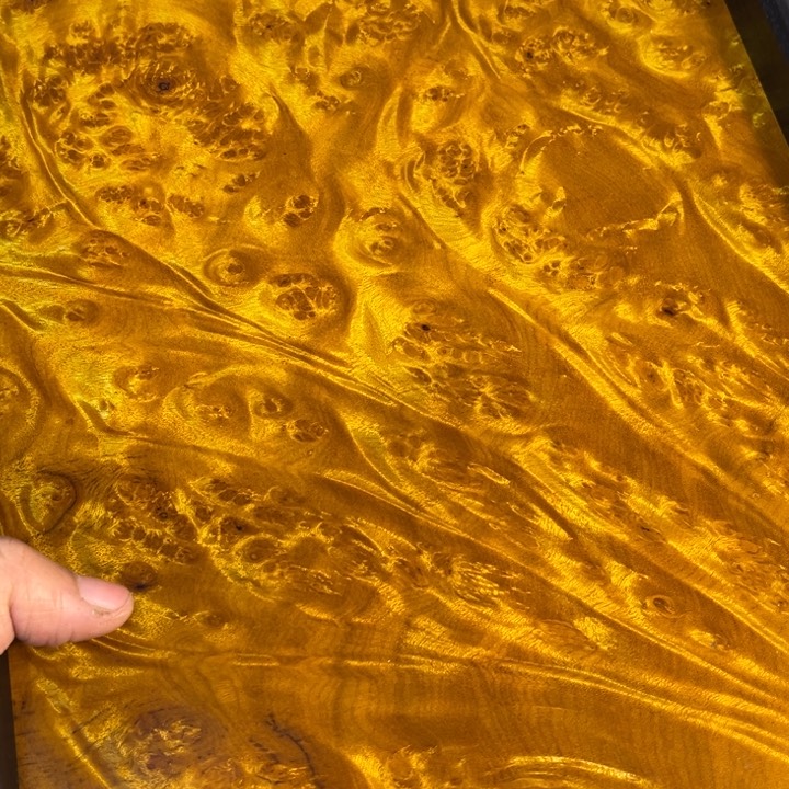 木黄金樟留疤超大托盘